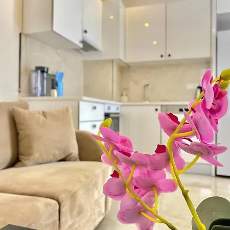 Rose 6 Comfort Living At Cleopatra